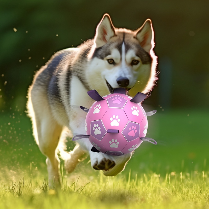 Durable Dog Soccer Ball Toy, 15cm Inflatable Soccer Ball, Teething and Entertainment Training Ball, Includes Pump - Pink