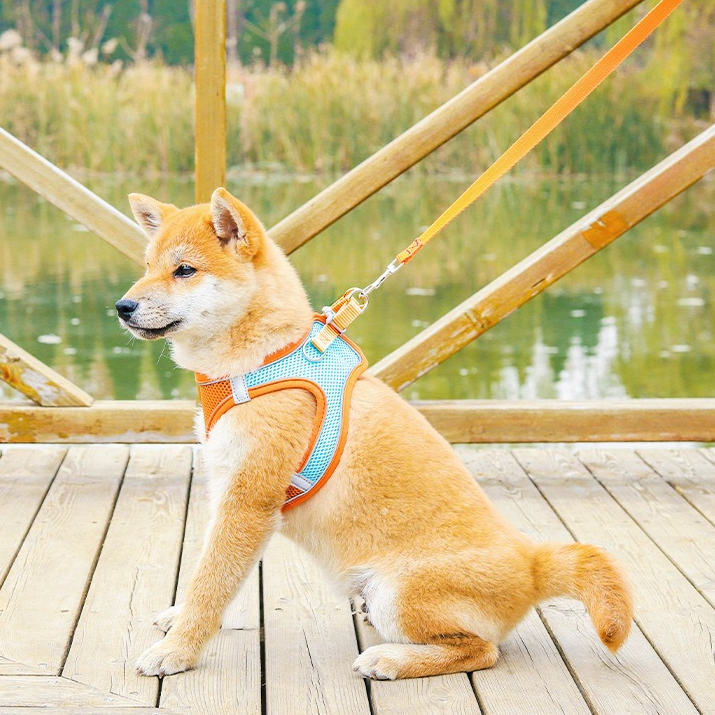 Breathable Reflective Pet Harness Set: Vest-Style Dog Harness + Leash - Black-M