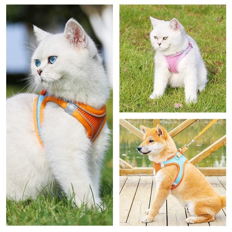 Breathable Reflective Pet Harness Set: Vest-Style Dog Harness + Leash - Black-XS