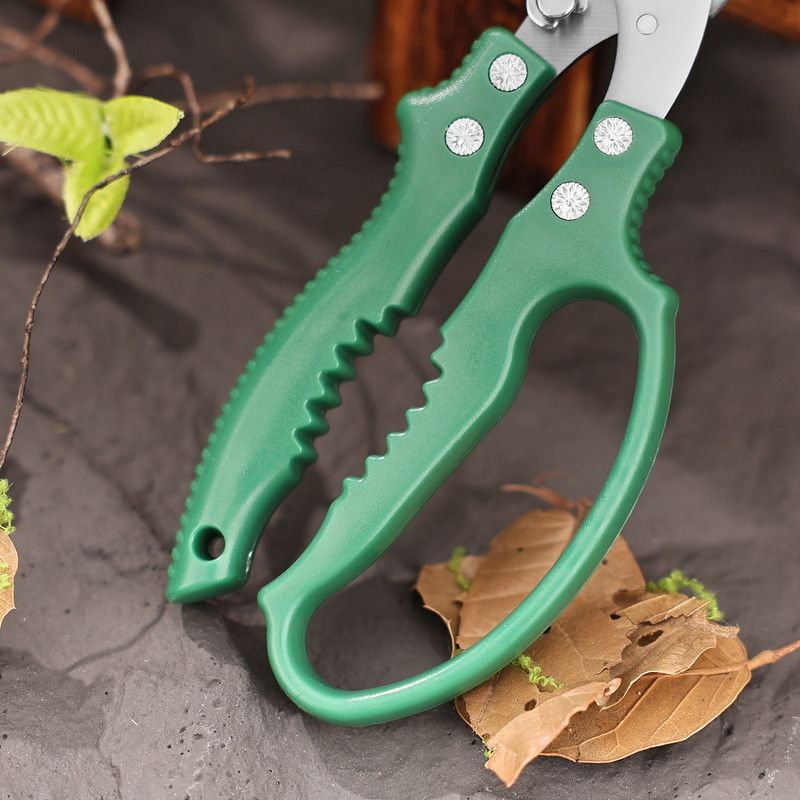 2-Pack Gardening Pruning Shears Set, 30Cr13 Stainless Steel Straight & Curved Shears with Non-Slip Handles for Gardens, Orchards, and Flower Arrangements—Green