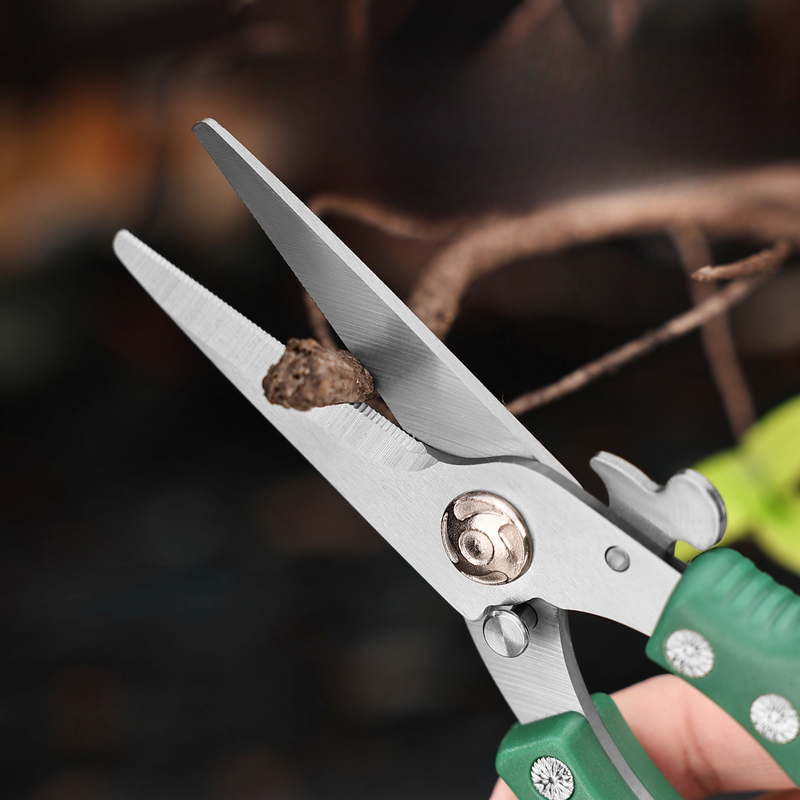 2-Pack Gardening Pruning Shears Set, 30Cr13 Stainless Steel Straight & Curved Shears with Non-Slip Handles for Gardens, Orchards, and Flower Arrangements—Green