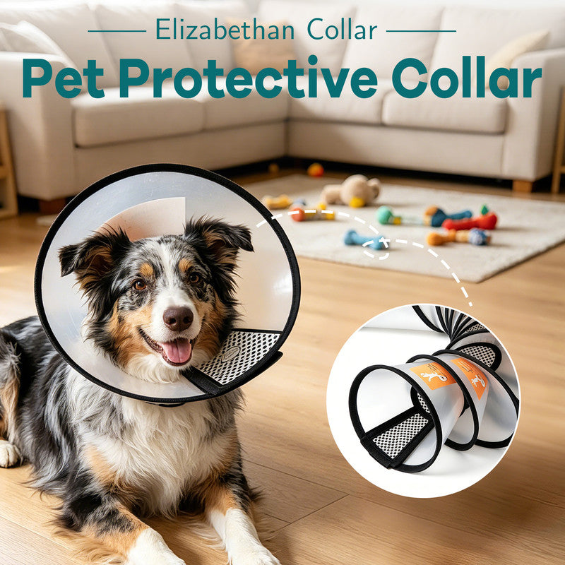 Classic Elizabethan Collar - Anti-Licking Collar - Multiple Sizes - Adjustable - Bite-Resistant - Transparent - Flea & Tick Prevention & Anti-Licking - Velcro Closure - For Cats & Dogs -27-31CM - 1 Piece