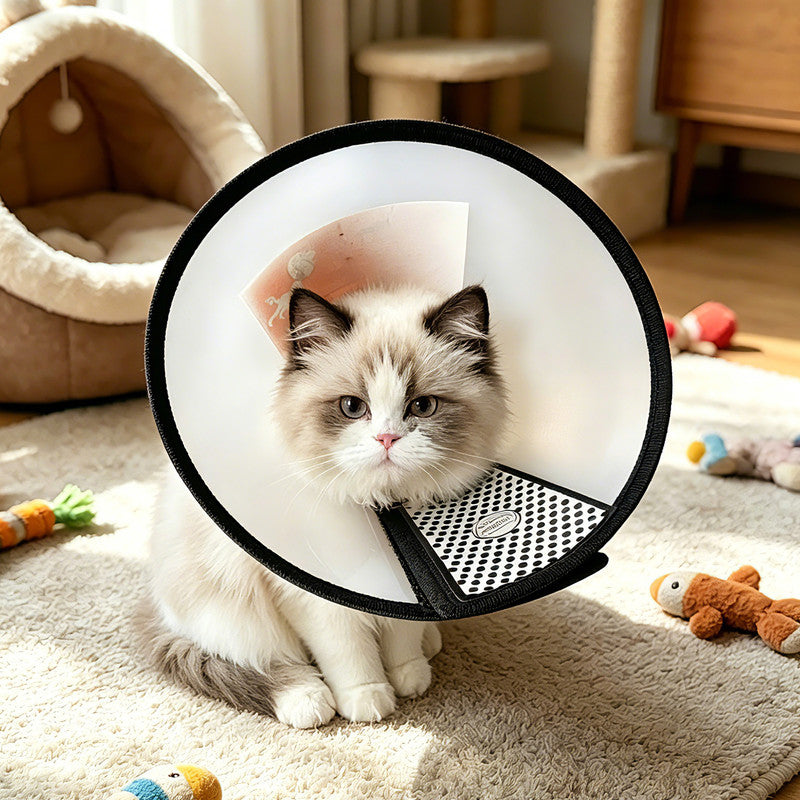 Classic Elizabethan Collar - Anti-Licking Collar - Multiple Sizes - Adjustable - Bite-Resistant - Transparent - Flea & Tick Prevention & Anti-Licking - Velcro Closure - For Cats & Dogs -22-26CM - 1 Piece