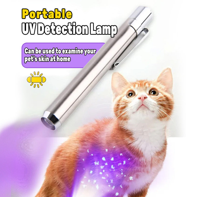 365nm UV Detection Light - Home Use Fluorescent Currency Authentication and Counterfeit Detection - Portable Stainless Steel - Multi-Function UV Detection Light (Batteries Included)