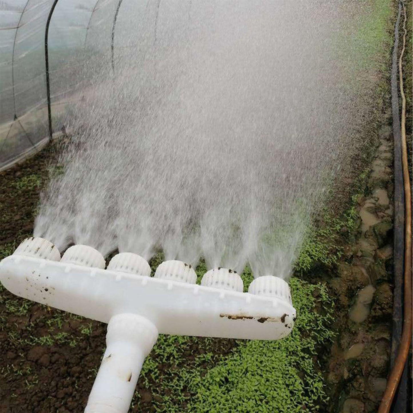 Sprinkler Head Plastic Multifunction Watering Misting Sprinkler for Garden Outdoor Agriculture Six Holes