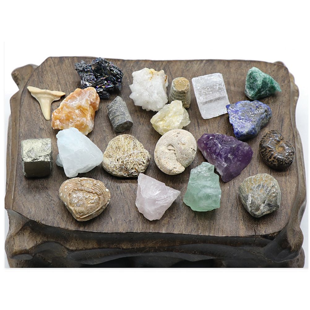 20 kinds of Mini Size Natural Crystal Agate Stone Rocks Minerals Fossils Kids Teaching Materials for Geology Enthusiasts Collection Gifts