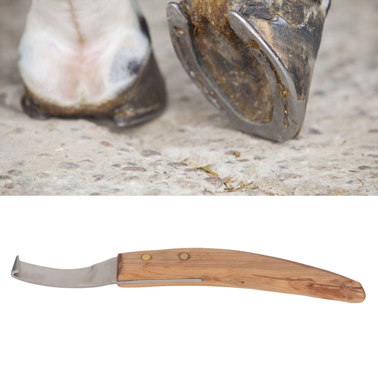 Left Hand Hoof Knife with Wooden Handle Steel Curved Livestock Cattle Hoof Trimming Tool