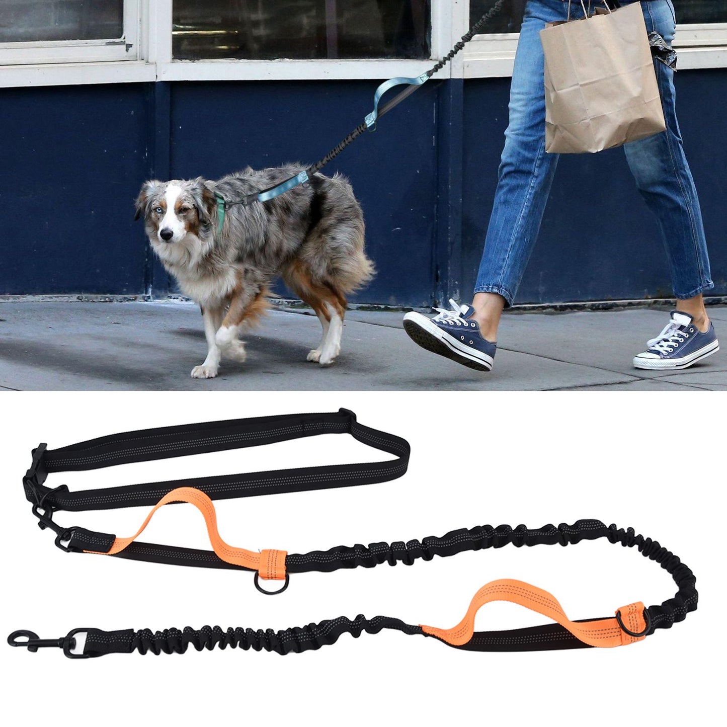 Pet Leash Reflective Retractable Portable Adjustable Dog Traction Rope for Pets Dogs Orange