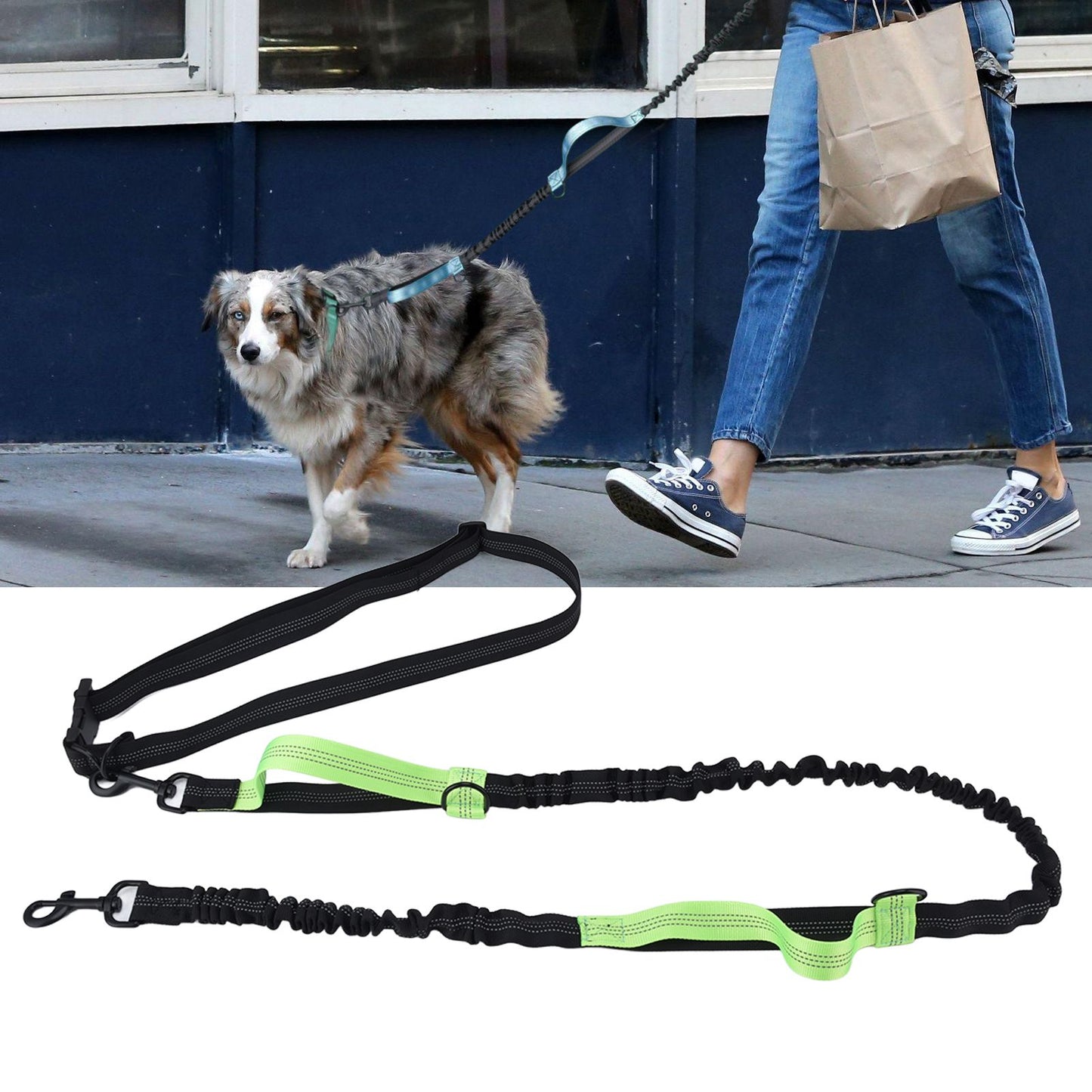 Pet Leash Reflective Retractable Portable Adjustable Dog Traction Rope for Pets Dogs Green
