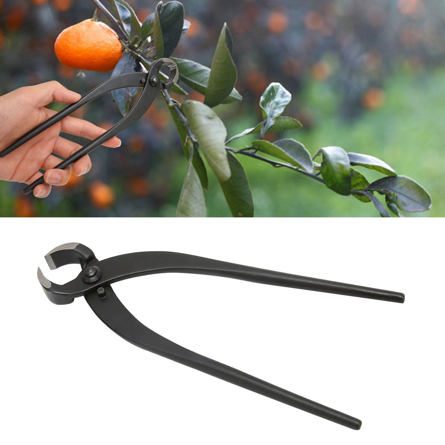 Bonsai Branch Cutter Professional Manganese Steel Bonsai Trim Pliers for Flowers Fruit Trees Bonsai 8.3in