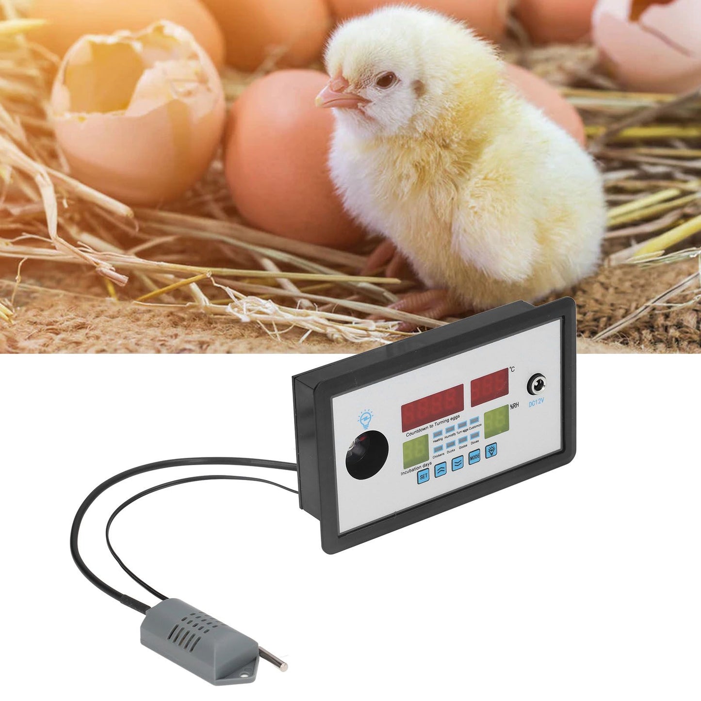 Intelligent Incubator Thermostat Automatic Egg Incubator Controller Thermostat for Eggs Duck Eggs Goose Eggs 12V