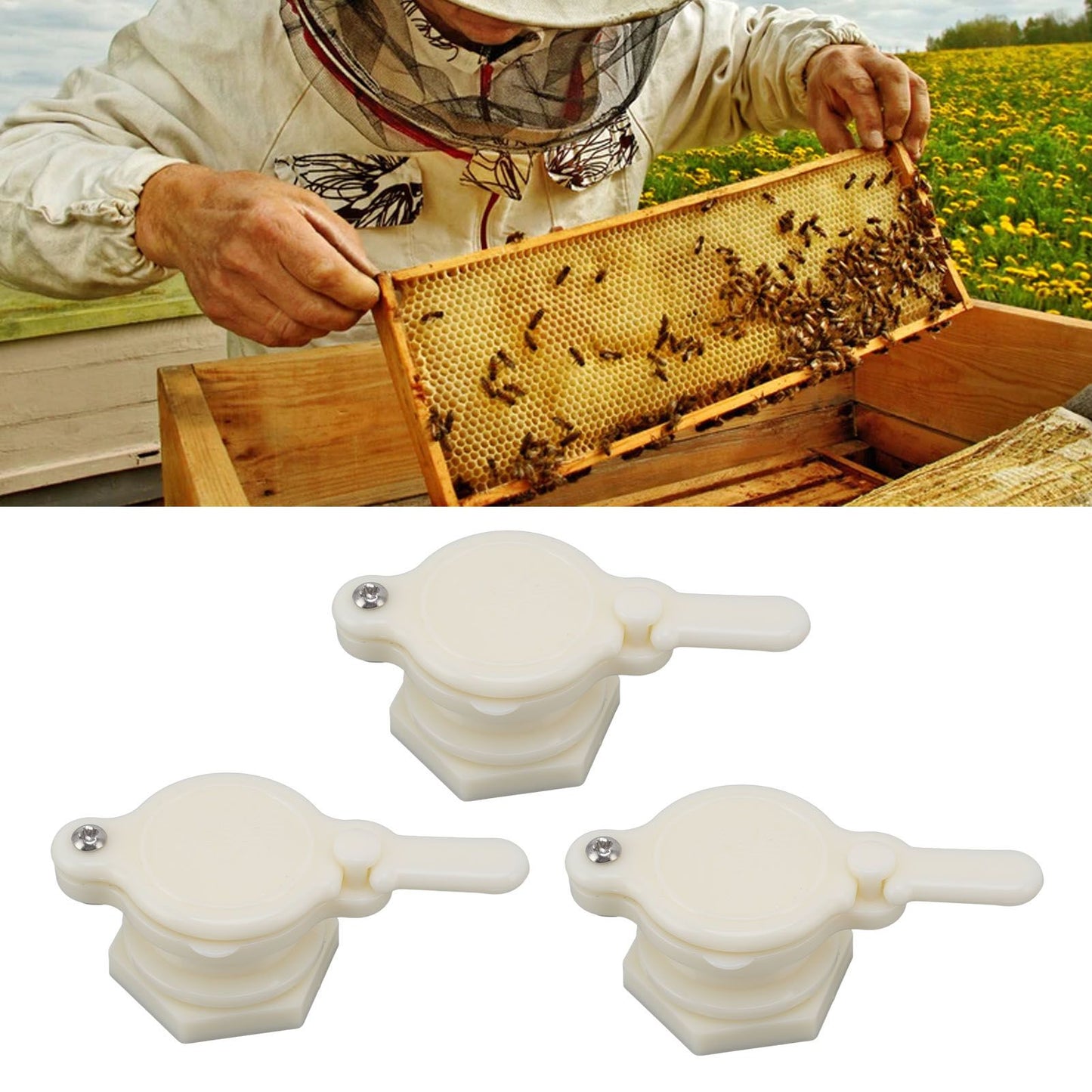 3pcs Beekeeping Integrated Honey Gate Extractor Plastic Honey Gate Valve for Beekeeping Accessory
