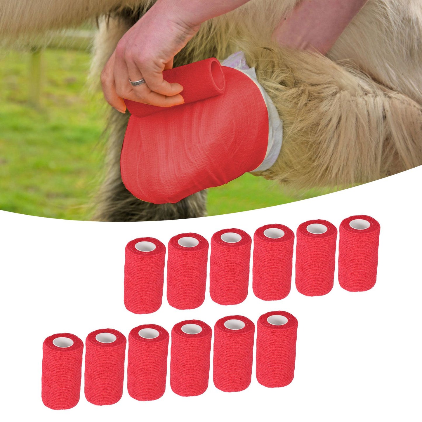 12Pcs Bandage Wrap Natural Latex Elastic Self Adhesive Wrap for Cows Dogs Horses 10cm Red