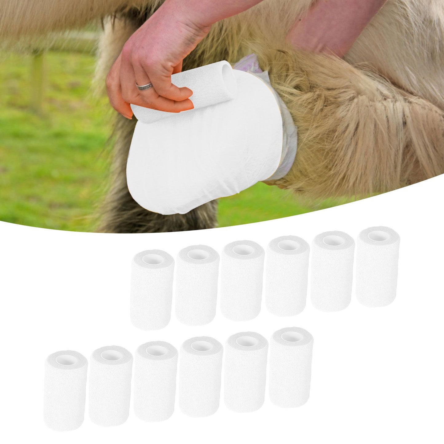12Pcs Bandage Wrap Natural Latex Elastic Self Adhesive Wrap for Cows Dogs Horses 10cm White