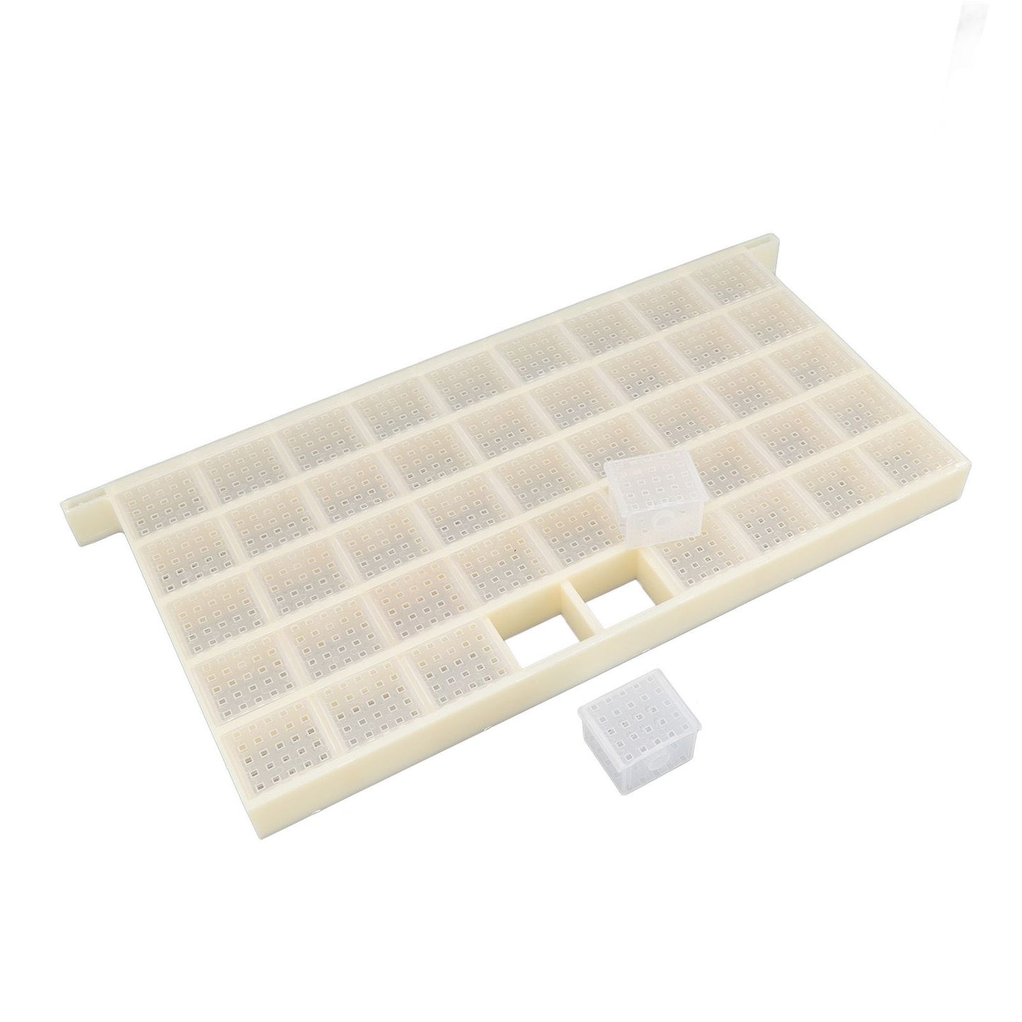 Queen Bee Storage Device Multifunctional Plastic Bee Storage Cage for Queen Rearing
