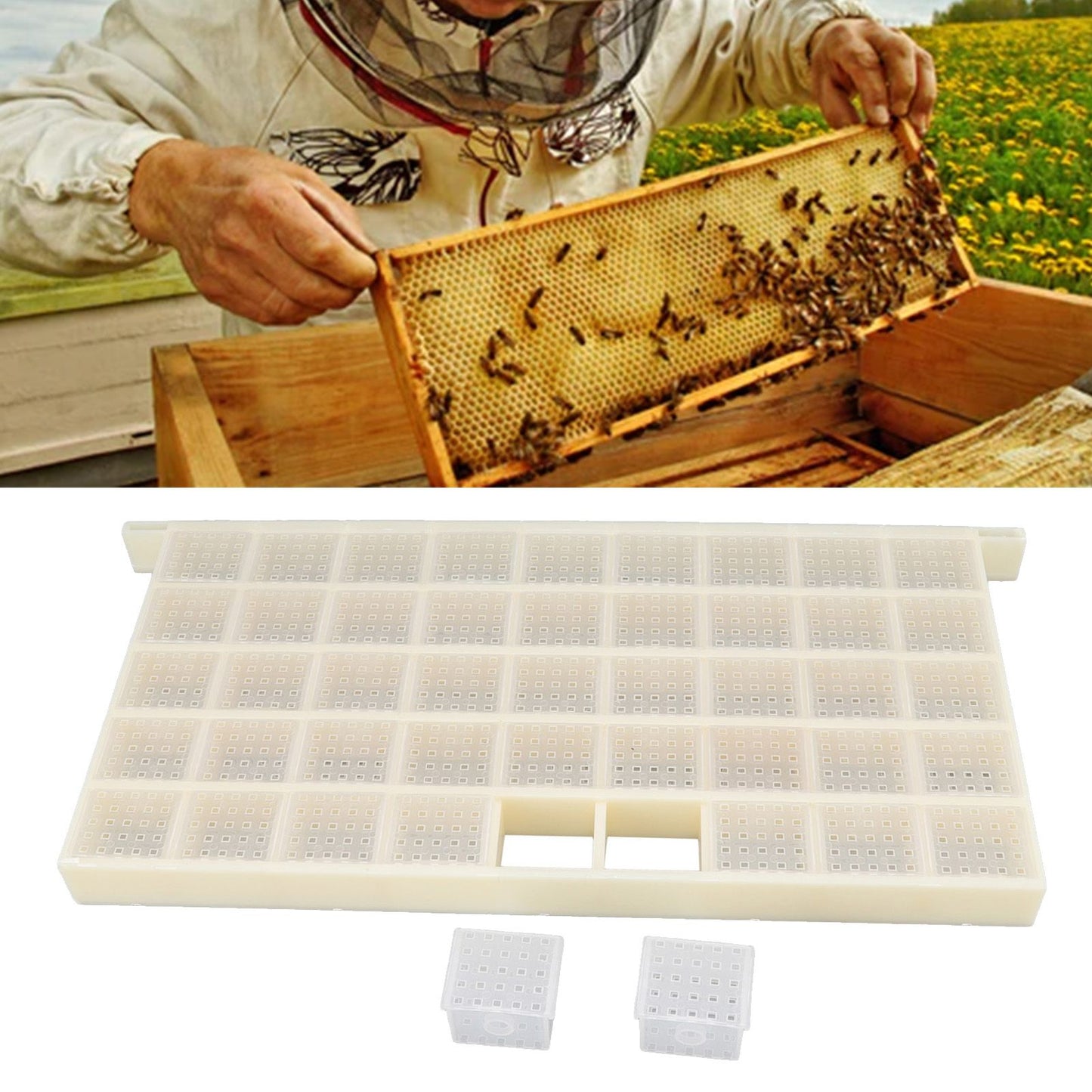 Queen Bee Storage Device Multifunctional Plastic Bee Storage Cage for Queen Rearing
