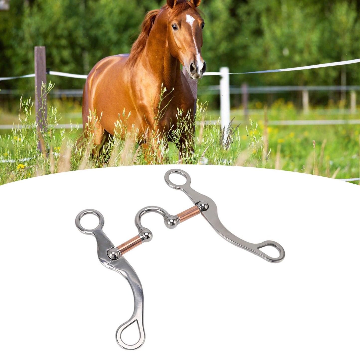 Horse Snaffle Bit Stainless Steel Rose Gold Plated Horse Gag Loose Ring Outdoor Garden Cultivation Horse Mouth Bit