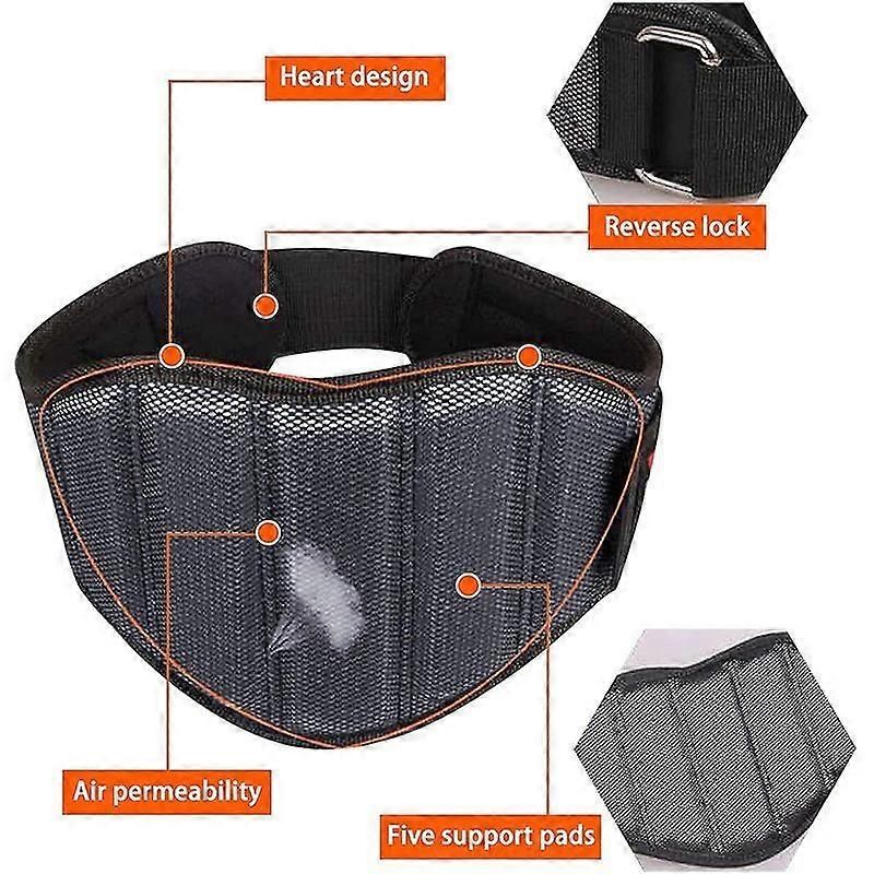 Weight Lifting Belt- Weightlifting Belt For Gym, Bodybuilding