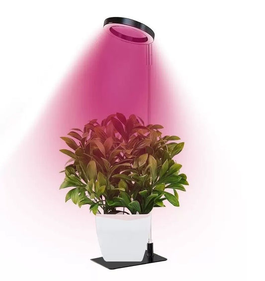 Full Spectrum LED Plant Grow Light with Telescopic Stand, Angel Ring Design, Dimmable Timer & Multi-Mode for Indoor Potted Plants, Succulents, and Home Desktop Decor (2PCS, Red Blue Light（Black+Black Base）)