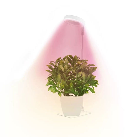 Full Spectrum LED Plant Grow Light with Telescopic Stand, Angel Ring Design, Dimmable Timer & Multi-Mode for Indoor Potted Plants, Succulents, and Home Desktop Decor (2PCS, Red Blue Warm Light （White+Clear Base）)
