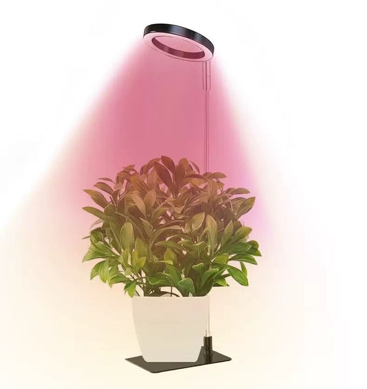 Full Spectrum LED Plant Grow Light with Telescopic Stand, Angel Ring Design, Dimmable Timer & Multi-Mode for Indoor Potted Plants, Succulents, and Home Desktop Decor (2PCS, Red Blue Warm Light（Black+Black Base))