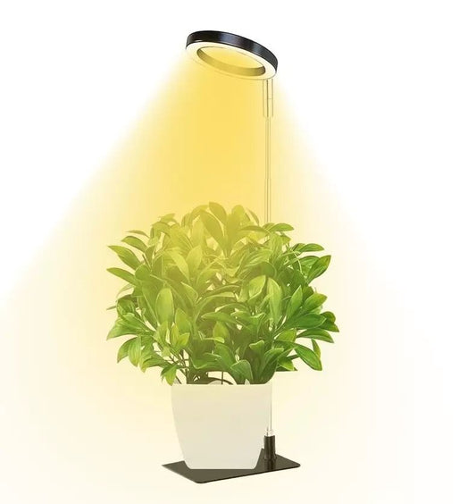 Full Spectrum LED Plant Grow Light with Telescopic Stand, Angel Ring Design, Dimmable Timer & Multi-Mode for Indoor Potted Plants, Succulents, and Home Desktop Decor (3PCS, Warm White Light (Black+Black Base))