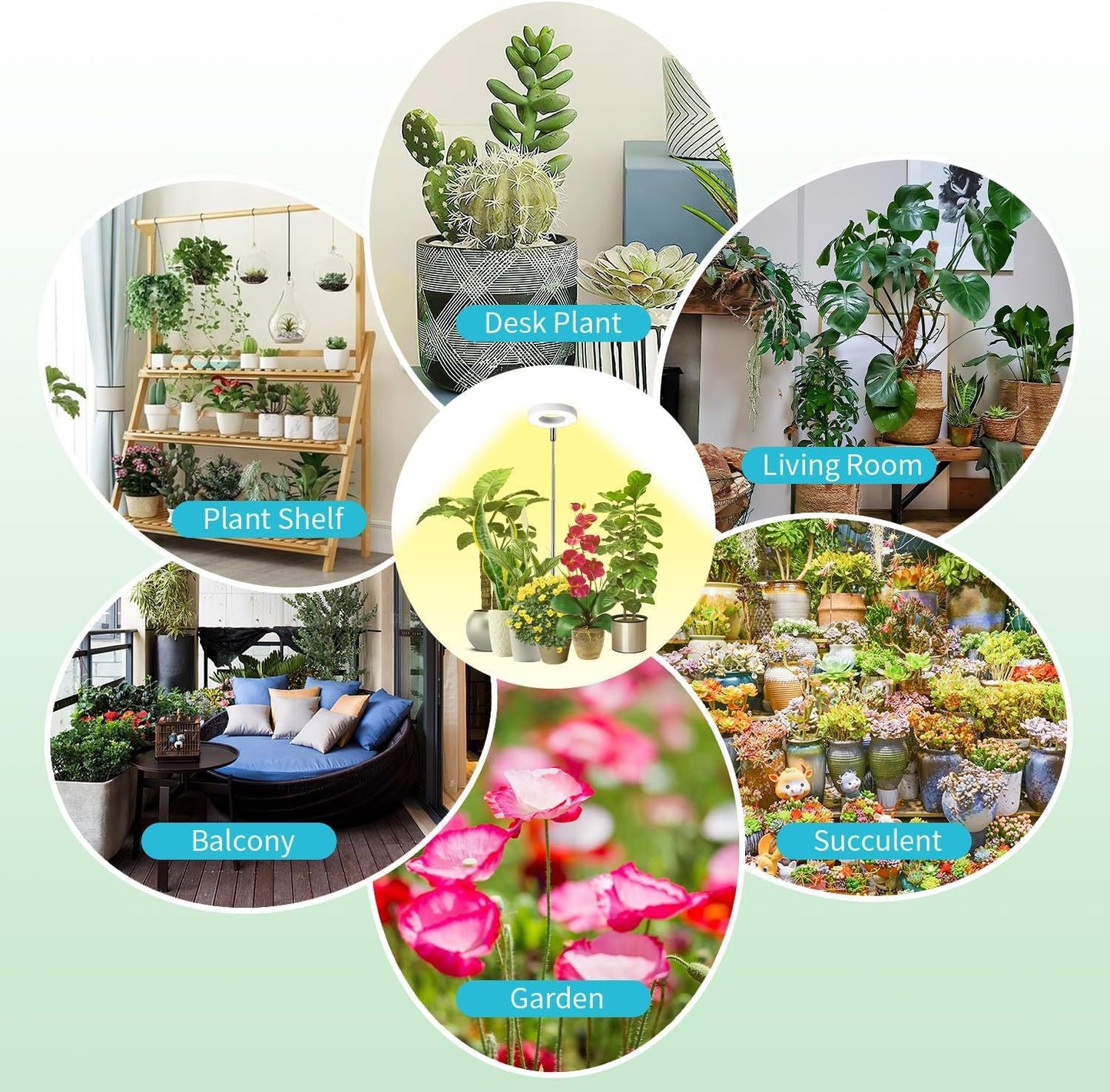 Full Spectrum LED Plant Grow Light with Telescopic Stand, Angel Ring Design, Dimmable Timer & Multi-Mode for Indoor Potted Plants, Succulents, and Home Desktop Decor (3PCS, Warm White Light (Black+Black Base))
