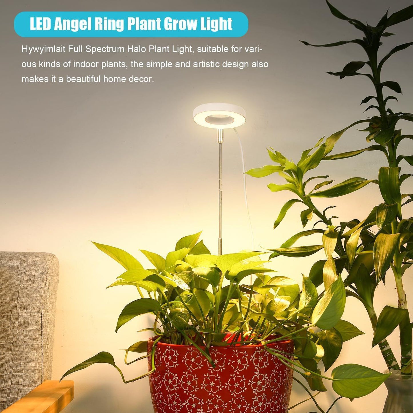 Full Spectrum LED Plant Grow Light with Telescopic Stand, Angel Ring Design, Dimmable Timer & Multi-Mode for Indoor Potted Plants, Succulents, and Home Desktop Decor (3PCS, Red Blue Warm Light （White+Clear Base）)
