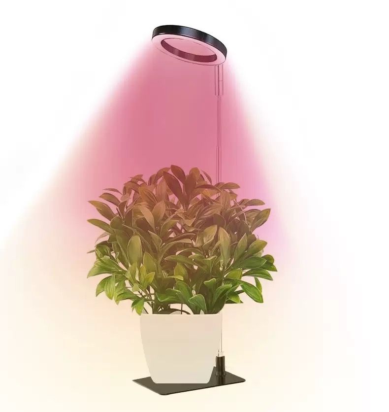 Full Spectrum LED Plant Grow Light with Telescopic Stand, Angel Ring Design, Dimmable Timer & Multi-Mode for Indoor Potted Plants, Succulents, and Home Desktop Decor (3PCS, Red Blue Warm Light （White+Clear Base）)
