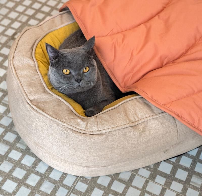 Leaf-Shaped Multi-Functional Pet Mat – Plush, Thick, and All-Season Comfort for Your Cat or Dog, Perfect as a Floor Pad, Crate Cushion, Sofa Protector, or Cozy Blanket (Orange)