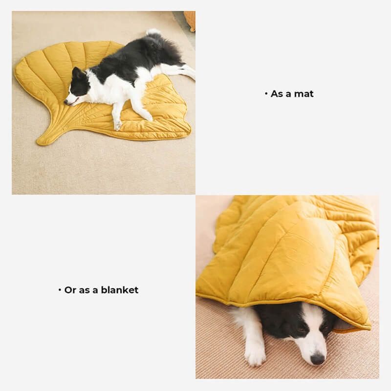 Leaf-Shaped Multi-Functional Pet Mat – Plush, Thick, and All-Season Comfort for Your Cat or Dog, Perfect as a Floor Pad, Crate Cushion, Sofa Protector, or Cozy Blanket (Orange)