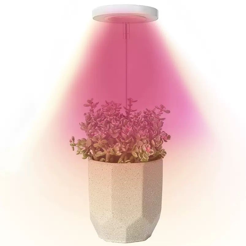 Angel Halo Ring LED Plant Grow Light, Full Spectrum Warm White & Red Blue for Succulents, Flowers, Adjustable Height and Angle, USB Powered Stake Lamp for Indoor Potted Plants (2PCS, Warm White Light (Black))