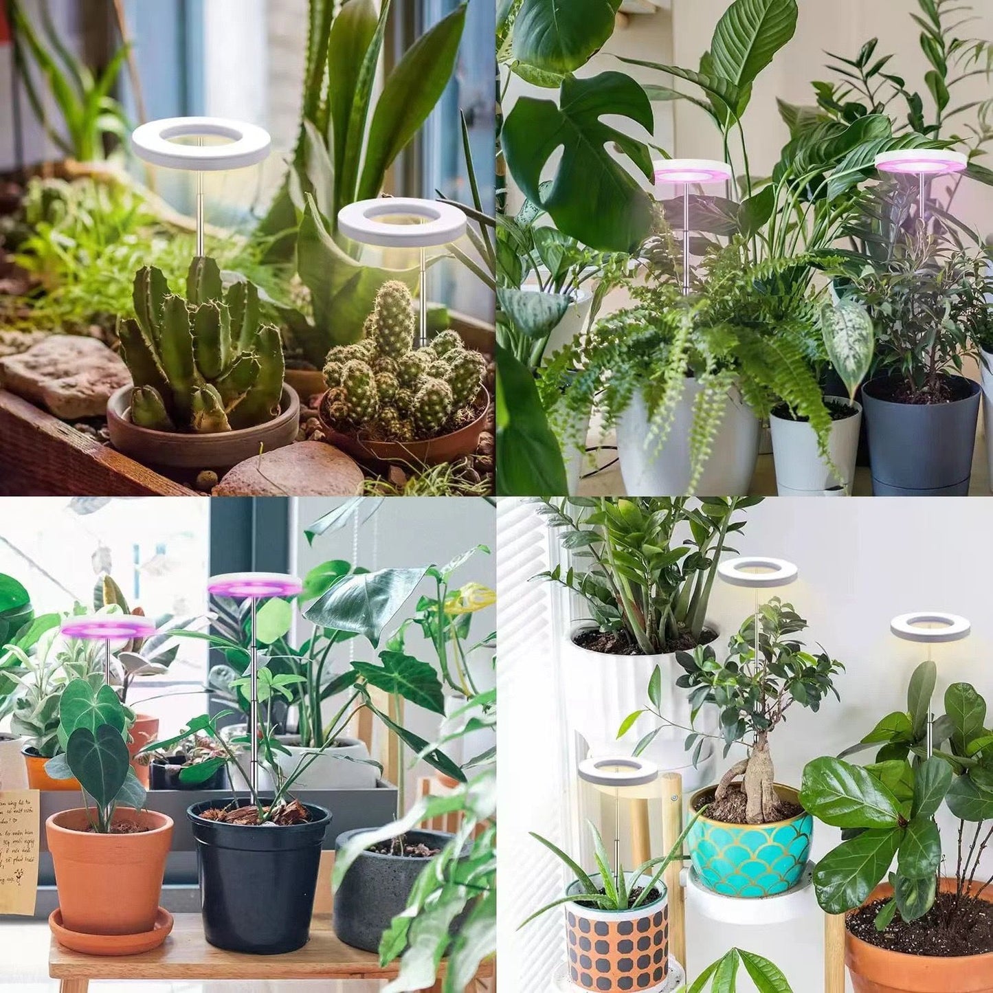 Angel Halo Ring LED Plant Grow Light, Full Spectrum Warm White & Red Blue for Succulents, Flowers, Adjustable Height and Angle, USB Powered Stake Lamp for Indoor Potted Plants (2PCS, Red Blue Warm Light  (White))