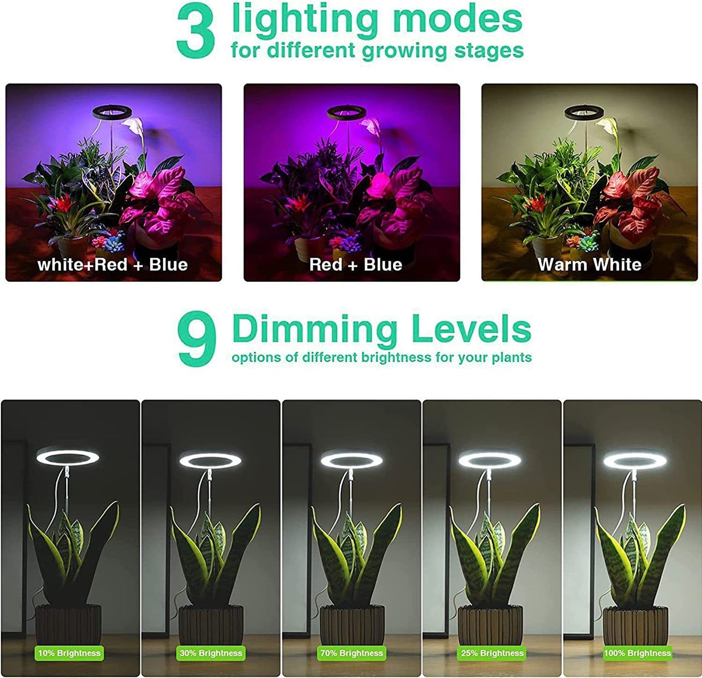 Angel Halo Ring LED Plant Grow Light, Full Spectrum Warm White & Red Blue for Succulents, Flowers, Adjustable Height and Angle, USB Powered Stake Lamp for Indoor Potted Plants (2PCS, Red Blue Warm Light  (White))