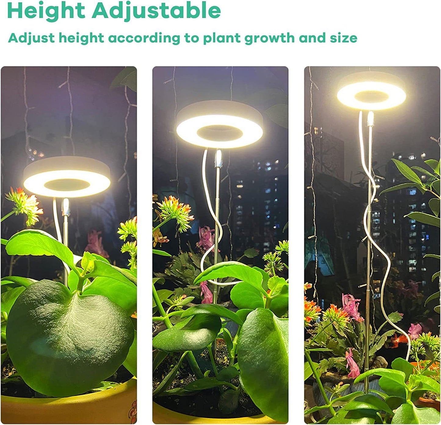 Angel Halo Ring LED Plant Grow Light, Full Spectrum Warm White & Red Blue for Succulents, Flowers, Adjustable Height and Angle, USB Powered Stake Lamp for Indoor Potted Plants (2PCS, Red Blue Warm Light  (White))