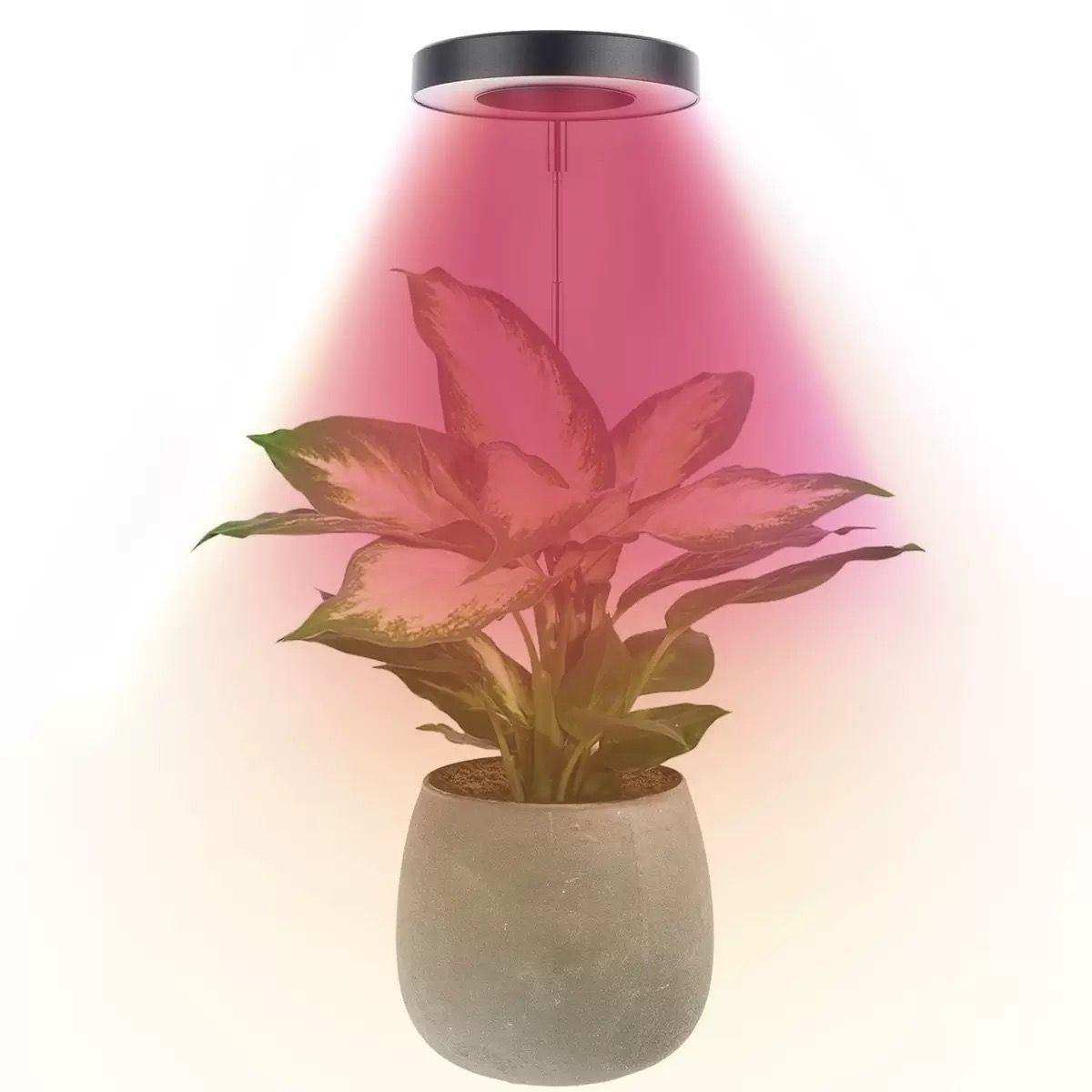 Angel Halo Ring LED Plant Grow Light, Full Spectrum Warm White & Red Blue for Succulents, Flowers, Adjustable Height and Angle, USB Powered Stake Lamp for Indoor Potted Plants (3PCS, Red Blue Warm Light  (White))