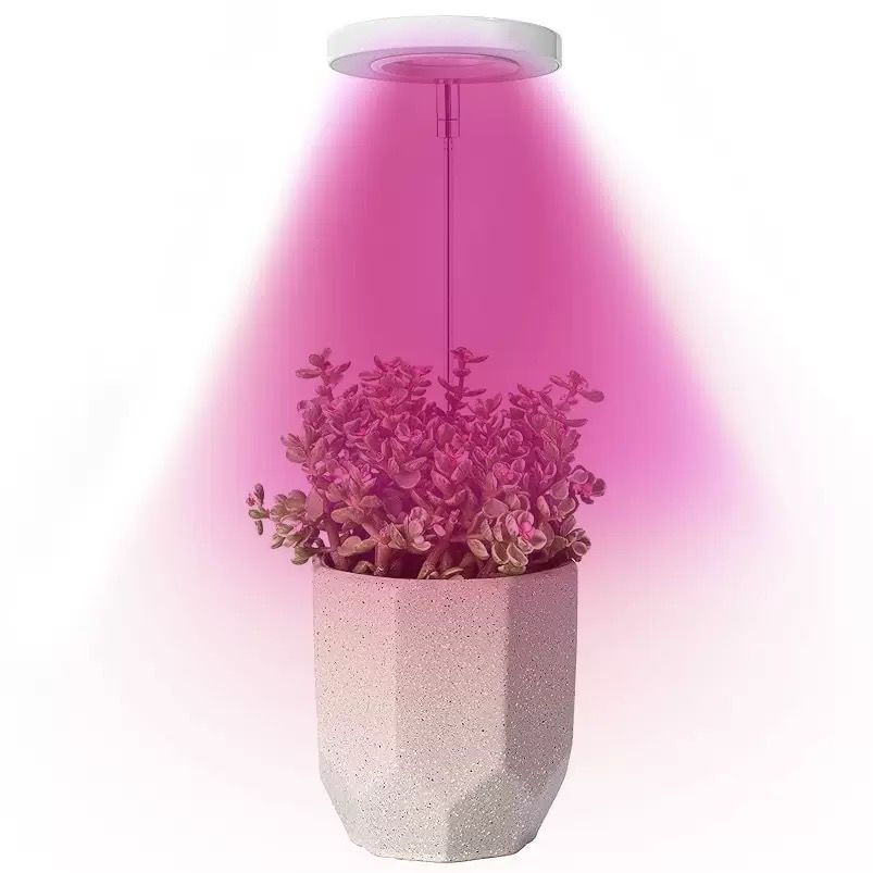 Angel Halo Ring LED Plant Grow Light, Full Spectrum Warm White & Red Blue for Succulents, Flowers, Adjustable Height and Angle, USB Powered Stake Lamp for Indoor Potted Plants (3PCS, Red Blue Warm Light  (White))