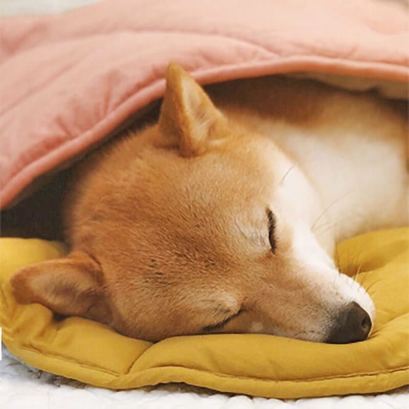 Cozy Leaf-Shaped Pet Mat for Dogs and Cats – Multi-Use Plush Sleeping Pad, Warm Blanket, and Crate Cover for All Seasons, Soft Pillowy Cushion Perfect for Resting, Napping, or Snuggling Anytime (Yellow)