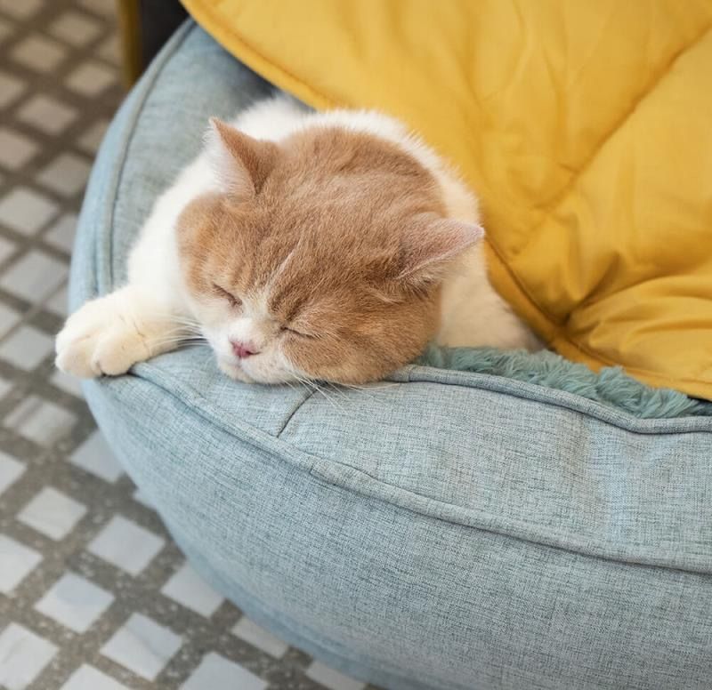 Cozy Leaf-Shaped Pet Mat for Dogs and Cats – Multi-Use Plush Sleeping Pad, Warm Blanket, and Crate Cover for All Seasons, Soft Pillowy Cushion Perfect for Resting, Napping, or Snuggling Anytime (Yellow)