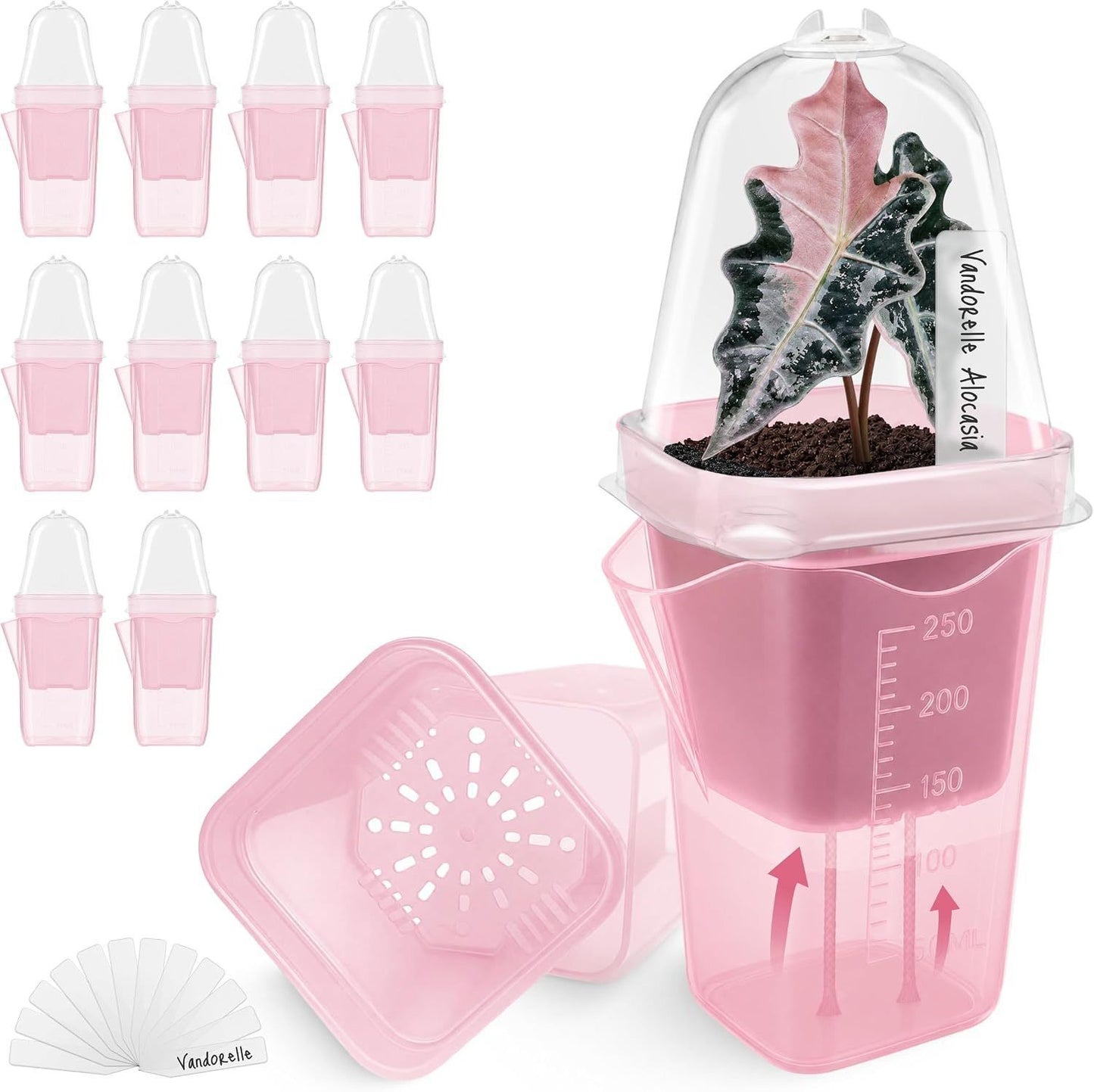 Self-Watering Square Seedling Pot with Adjustable Humidity Dome – Semi-Transparent Pink Plastic Planter for Mini Succulents, Carnivorous Plants, and Propagation, Ideal for Desks, Shelves, and Kids Gardening (4PCS)