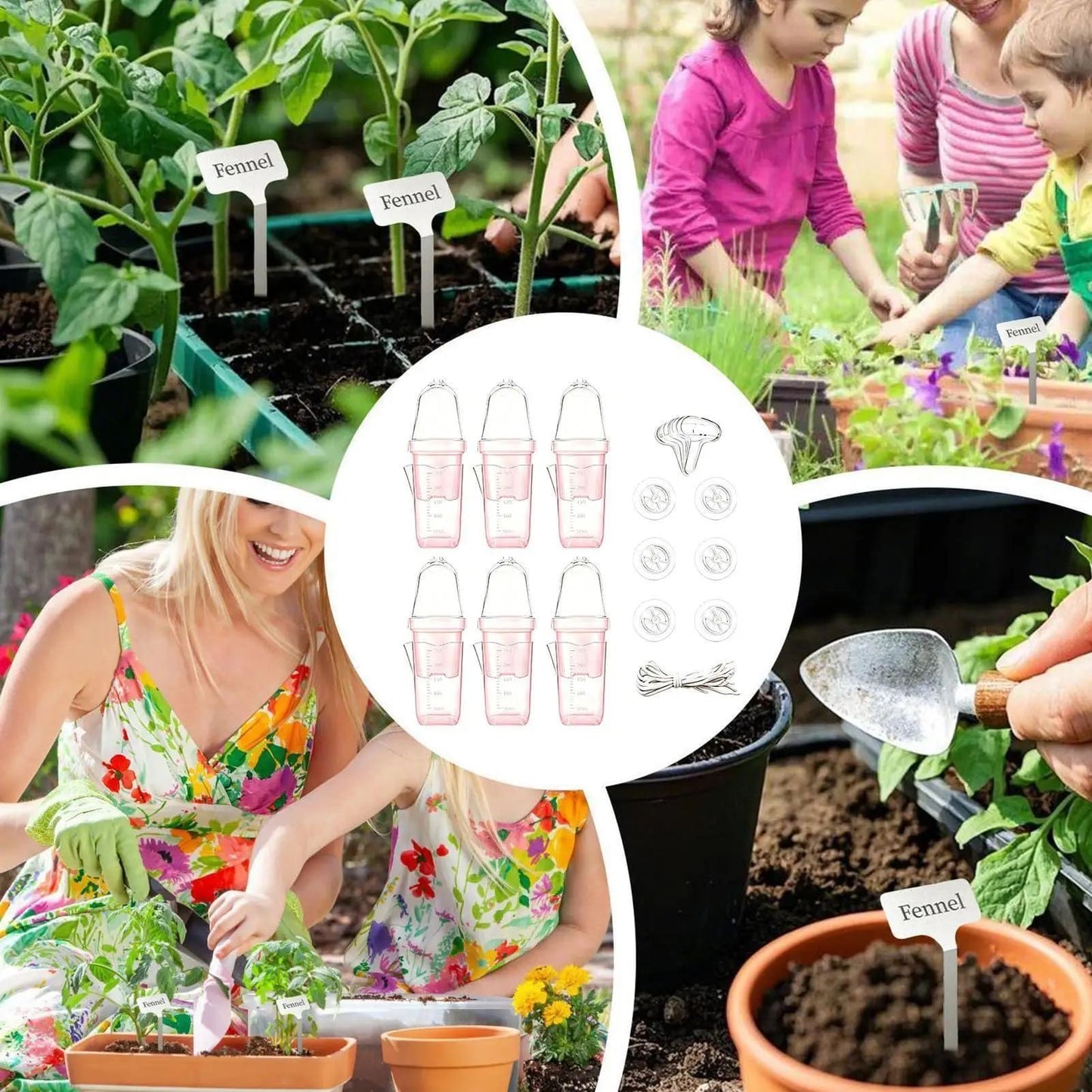 Self-Watering Square Seedling Pot with Adjustable Humidity Dome – Semi-Transparent Pink Plastic Planter for Mini Succulents, Carnivorous Plants, and Propagation, Ideal for Desks, Shelves, and Kids Gardening (8PCS)