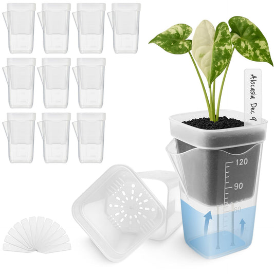 Self-Watering Double-Layer Square Planter Set for Effortless Plant Propagation and Succulent Display – Features a Transparent Reservoir with Measurement Marks and a Semi-Transparent Inner Pot to Monitor Root Growth and Water Level (2", 10PCS)