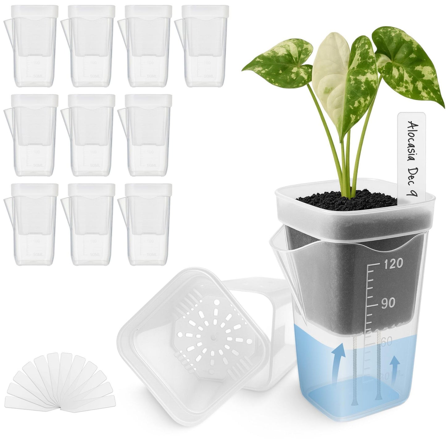 Self-Watering Double-Layer Square Planter Set for Effortless Plant Propagation and Succulent Display – Features a Transparent Reservoir with Measurement Marks and a Semi-Transparent Inner Pot to Monitor Root Growth and Water Level (2", 12PCS)