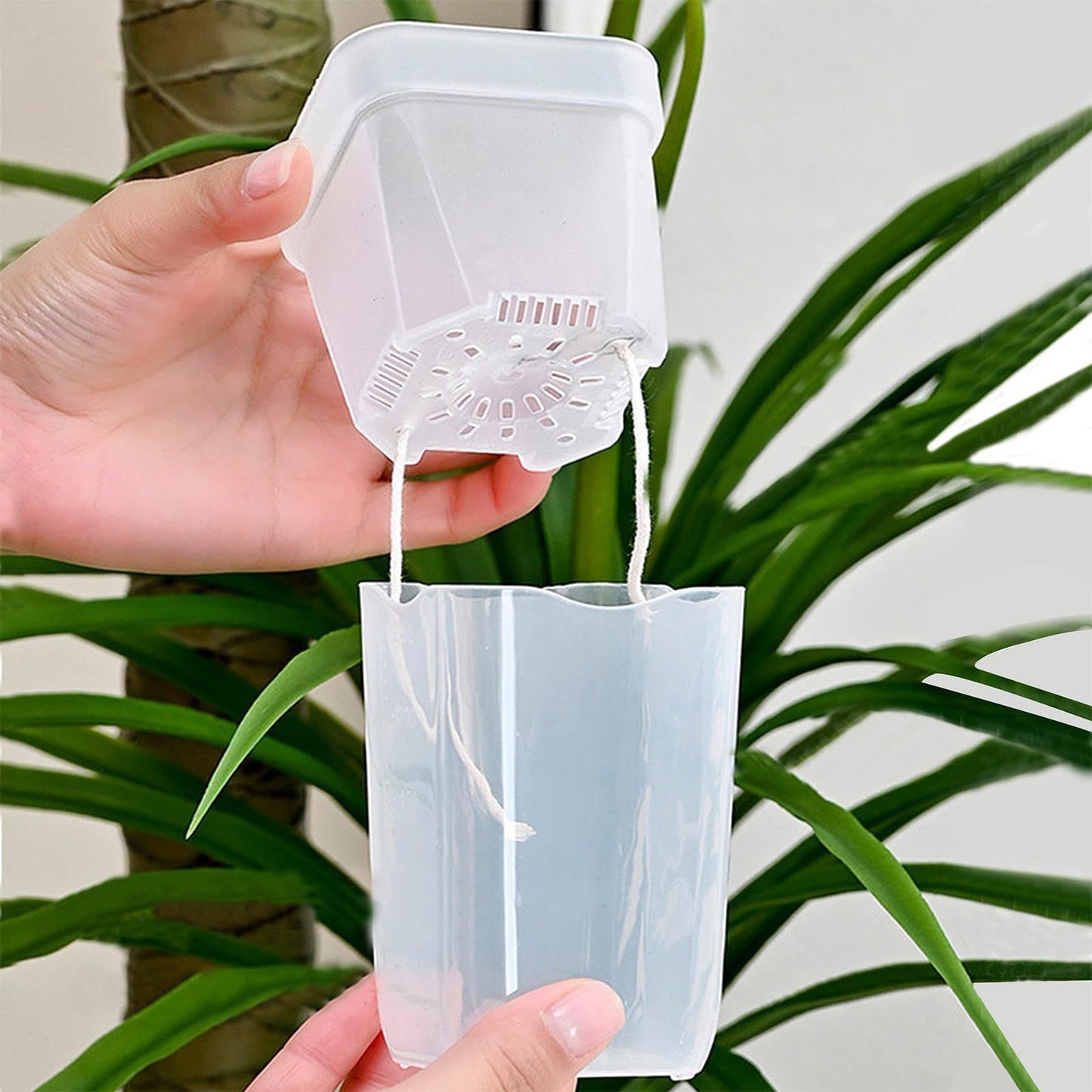 Self-Watering Double-Layer Square Planter Set for Effortless Plant Propagation and Succulent Display – Features a Transparent Reservoir with Measurement Marks and a Semi-Transparent Inner Pot to Monitor Root Growth and Water Level (2.5", 10PCS)