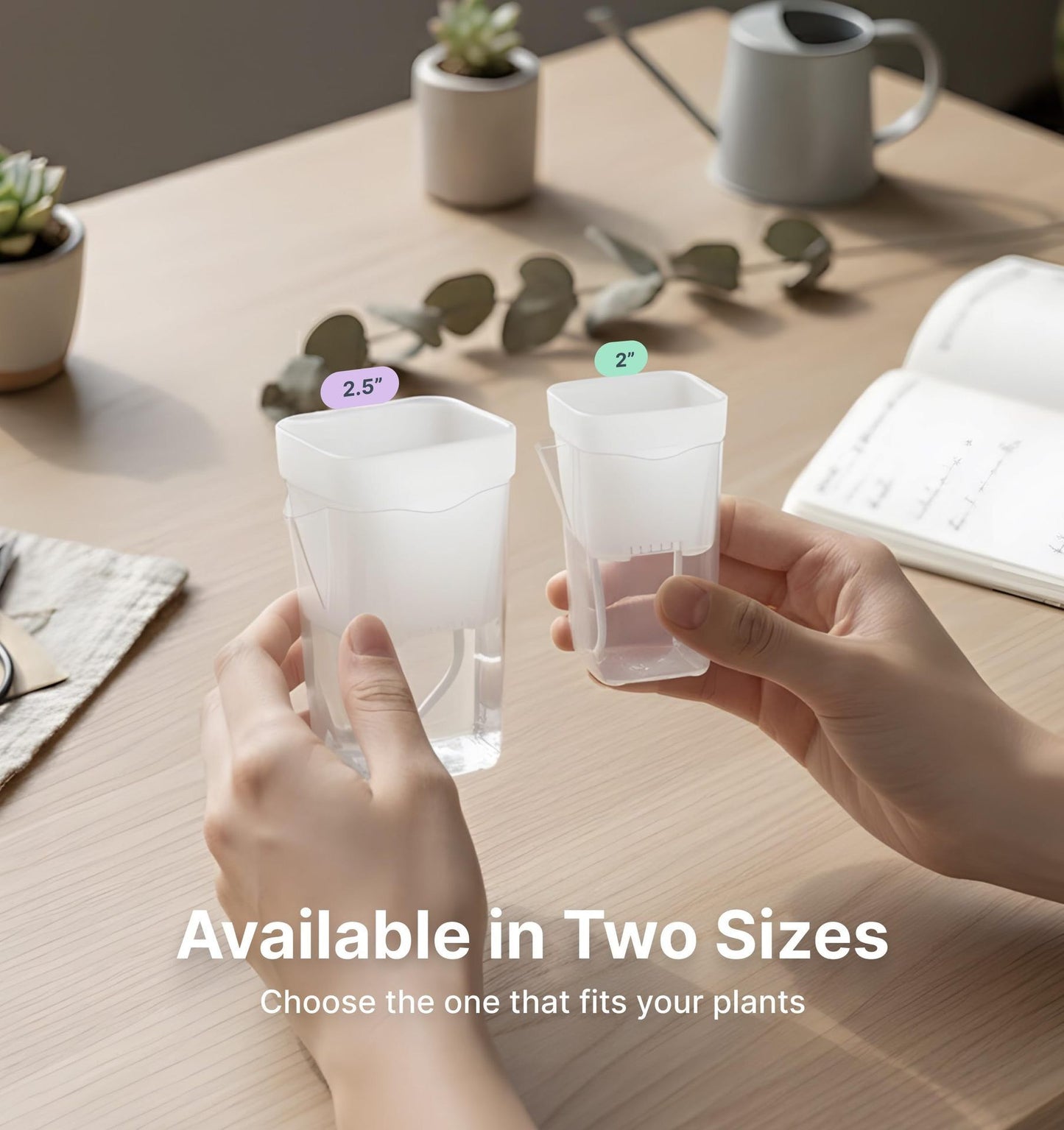 Self-Watering Double-Layer Square Planter Set for Effortless Plant Propagation and Succulent Display – Features a Transparent Reservoir with Measurement Marks and a Semi-Transparent Inner Pot to Monitor Root Growth and Water Level (2.5", 12PCS)