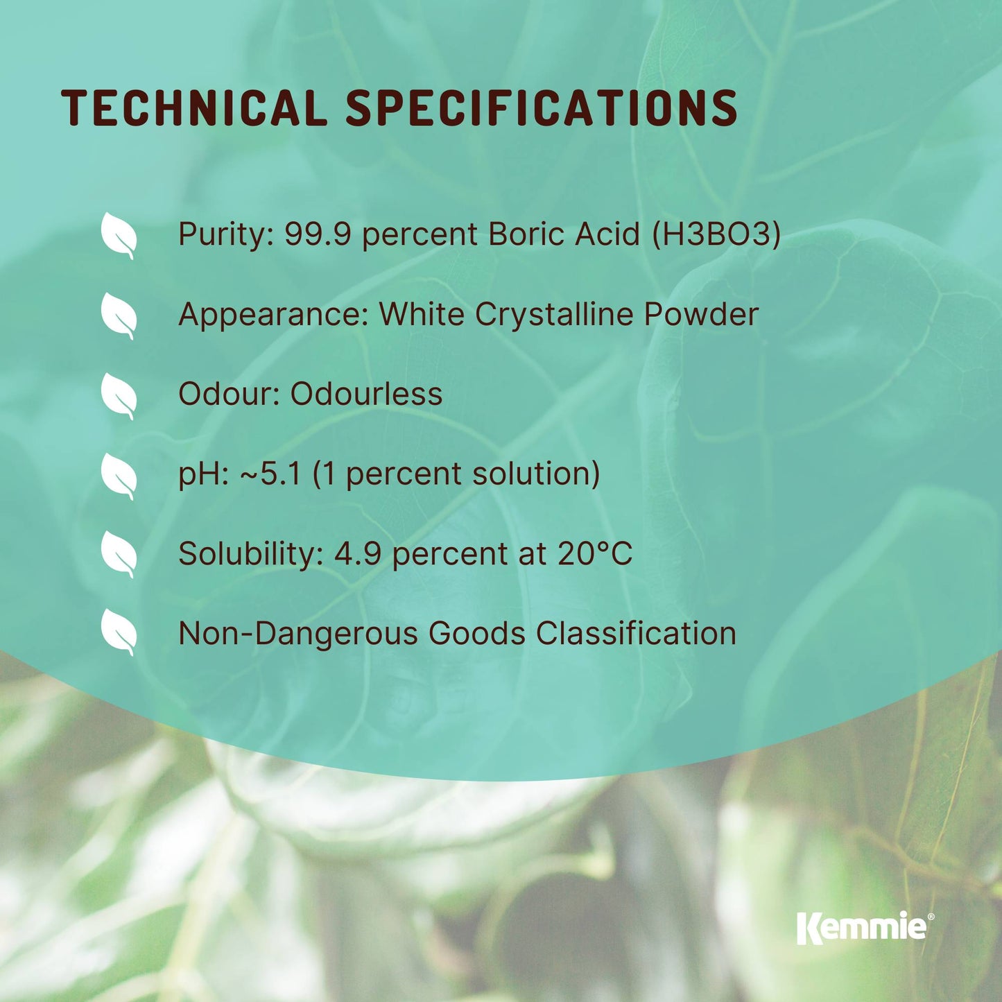 Kemmie 400g Boric Acid Powder 99.9% Pure - Soluble Orthoboric Acid H3BO3