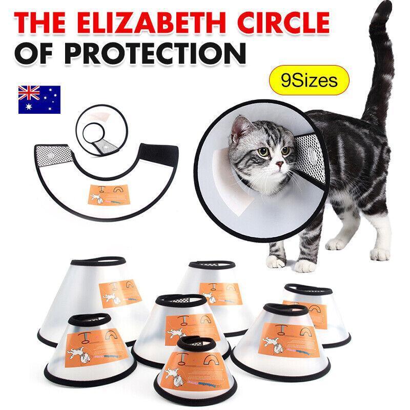 Pet Cat Dog Protective Cone Collar Elizabethan E Collar Wound Healing Recovery - Large