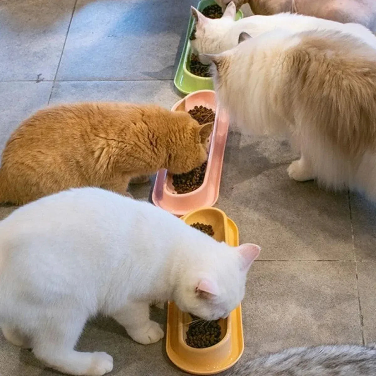 Extended Cat Bowl Pet Bowl Feeding Basin Drinking Water Cat Bowl for Cats - Pink