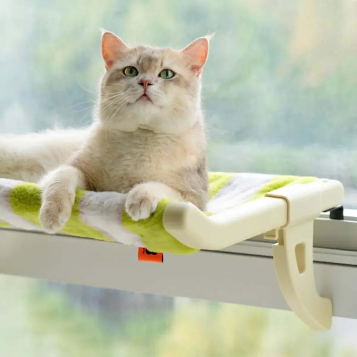 Hanging Cat Hammock Bed Durable for Window Indoor Pet Sleeping