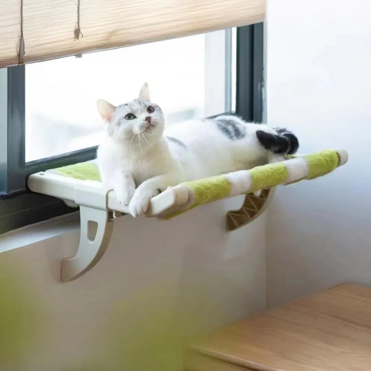 Hanging Cat Hammock Bed Durable for Window Indoor Pet Sleeping